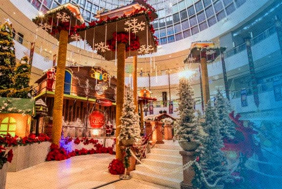 Mall Activation Services